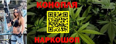 мяу мяу мука Кунгур