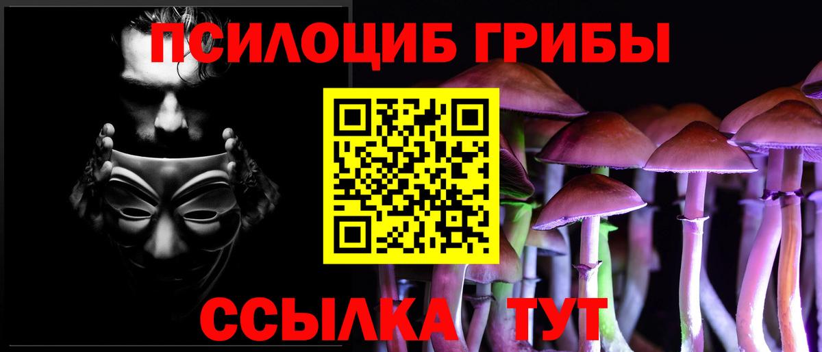 Воронеж  Галлюциногенные грибы MAGIC MUSHROOMS  Псилоцибиновые грибы мицелий  Вход с VPN 